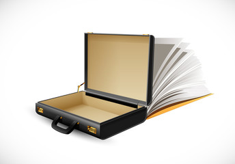 Business suitcase - finance concept - briefcase open and empty © Black Jack