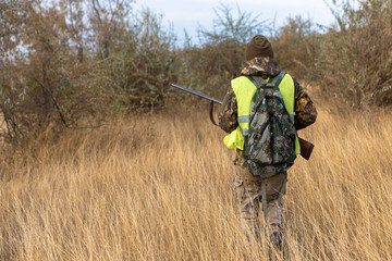 Hunters with a german drathaar and spaniel, pigeon hunting with dogs in reflective vests	