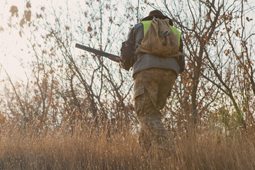 Hunters with a german drathaar and spaniel, pigeon hunting with dogs in reflective vests	