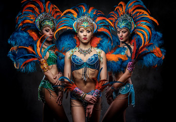 Portrait of a group sexy dancers female in colorful sumptuous carnival feather suits. Isolated on a dark background.