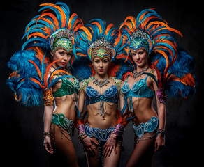 Studio portrait of a group professional dancers female in colorful sumptuous carnival feather...