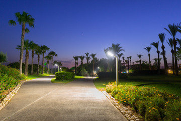 Beautiful pathway with palm trees at the beach of Turkey