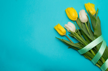 Yellow tulips with yellow ribbon on blue