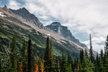 Glacier National Park in Montana During Summer