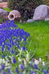 Beautiful landscape design with blue flowers on the background of vase
