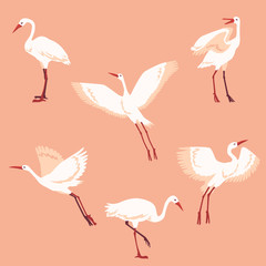 Obraz premium Vector hand drawn white crane birds set