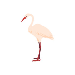 Vector hand drawn white crane bird standing