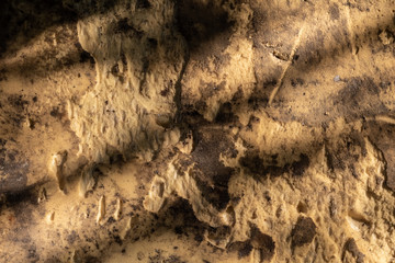 Yellow sponge grunge texture