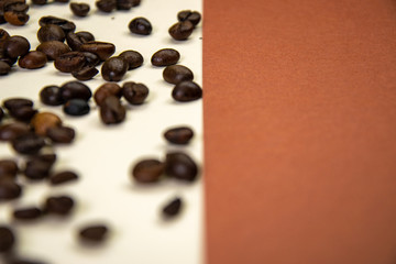 Coffee beans on white and brown background