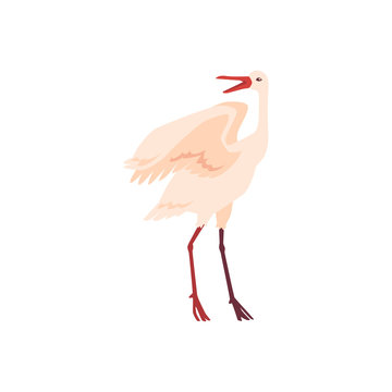 Vector hand drawn white crane bird standing