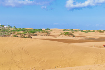 Fototapeta na wymiar Sand Dunes on Grand Canary