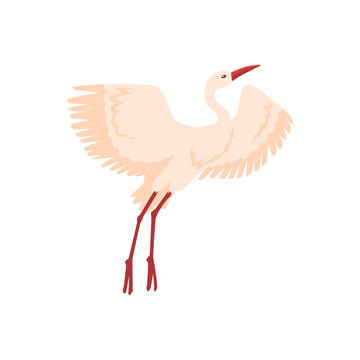 Vector hand drawn white crane bird takes off