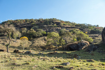Naklejka premium mountain