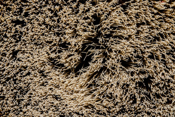 Brush bristle texture