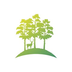 Obraz premium Silhouette of a group of trees