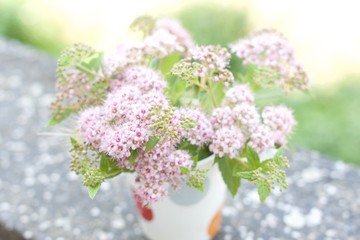 Blumen / Flowers / Цветы