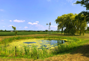 Pond with wind mill and willow tree