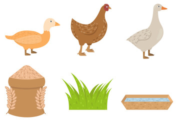 Duck, goose, chicken icons in flat style, food for poultry vector illustration