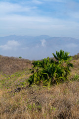 cerro de la vieja