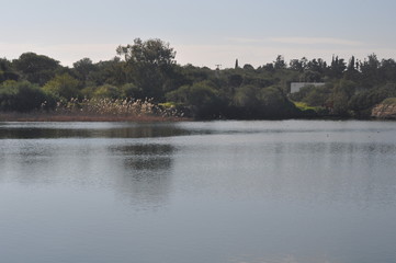 The beautiful natural Wetland Athalassas Lake landscape in Cyprus