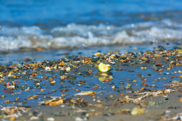 A stump of green Apple lies on the rocky shore. Colorful stones on the beach of lake Issyk Kul. Rest in Kyrgyzstan. Wet pebbles.