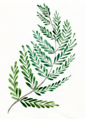 Botanical fern watercolor illustration. Floral design elements. Perfect for wedding invitations, greeting cards, blogs, posters and more