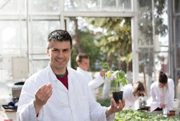 Agronomist with seedling in flower pot in greenhouse