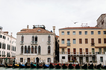 boats in venice