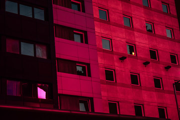 windows of modern building