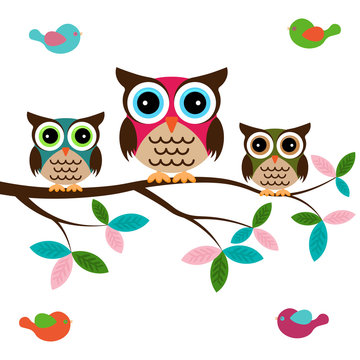 Owl family on a tree with birds