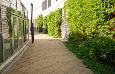 Urban nature in city of Budapest