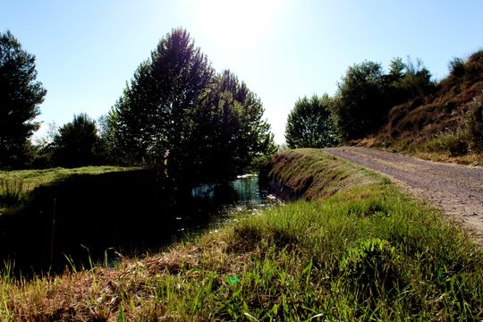 Paisaje de un canal con &aacute;rboles en el fodo y cielo azul en rpimavera