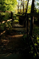 puente de hierro y suelo madera en bosque frondoso una tarde de primavera