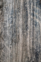 Fototapeta na wymiar Natural wood texture