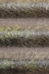 Transparent plastic fiber texture