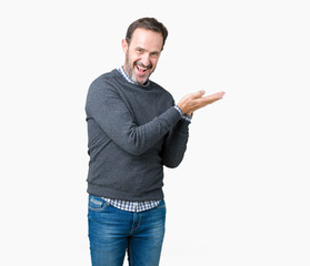 Handsome middle age senior man wearing a sweater over isolated background Pointing to the side with hand and open palm, presenting ad smiling happy and confident