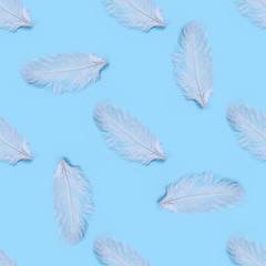 Seamless pattern of white swan feathers on a blue background.