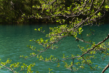 Plitvice