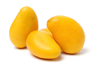 Mango on a white background