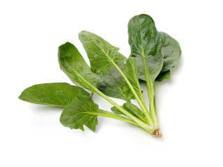 Spinach on a white background