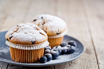 Homemade fresh muffins with sugar powder and blueberries on ceramic plate closeup on rustic wooden table.