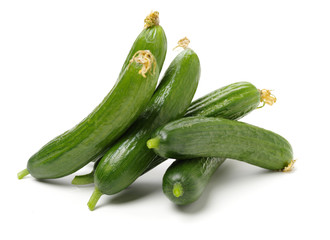 Lebanese Cucumber isolated on white background