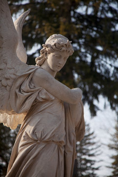 Angel. Faith, religion, Christianity, death, immortality concept