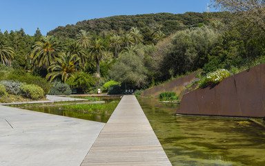 Botanical garden in Montjuic park outdoor, Barcelona.