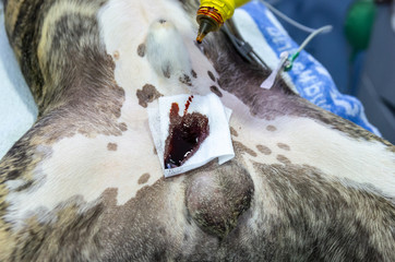 Cleaning the surgical area with iodine povidone