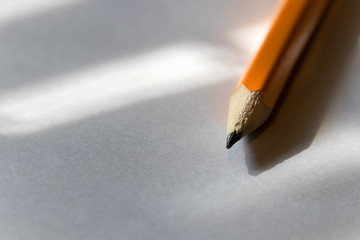 Closeup of paper and pencil