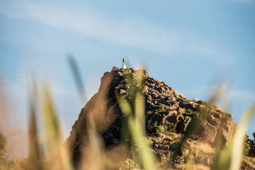 Trig Pole