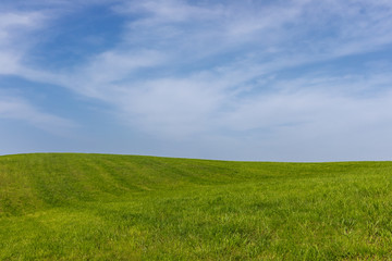 Fototapeta premium Green field and blue sky with clouds