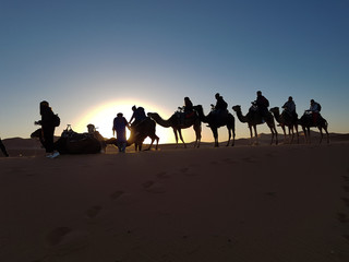 Fototapeta premium caravan in the sunrise