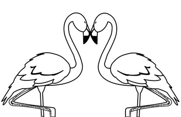 exotic flemish couple birds with romantic pose